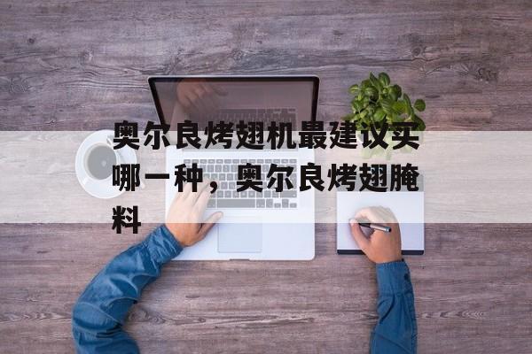 奥尔良烤翅机最建议买哪一种，奥尔良烤翅腌料-第1张图片-