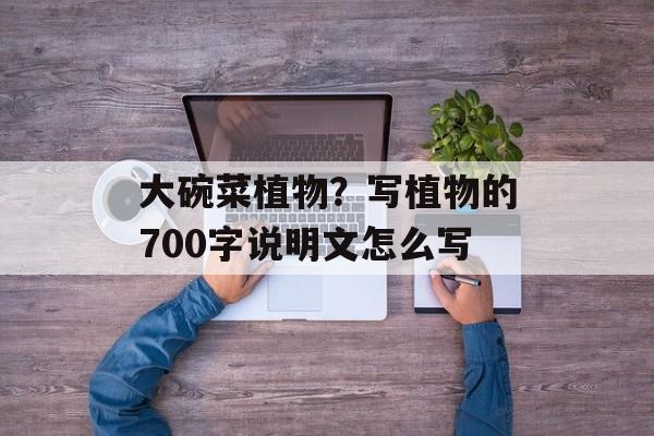 大碗菜植物？写植物的700字说明文怎么写-第1张图片-