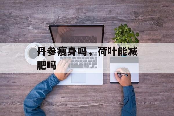 丹参瘦身吗，荷叶能减肥吗-第1张图片-