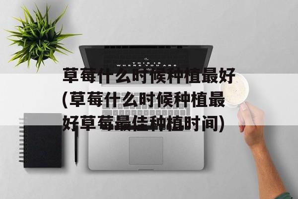 草莓什么时候种植最好(草莓什么时候种植最好草莓最佳种植时间)-第1张图片-