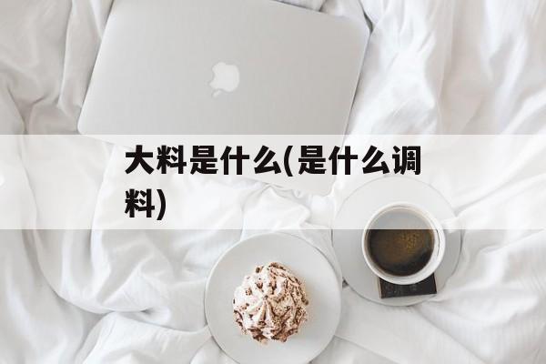 大料是什么(是什么调料)-第1张图片-