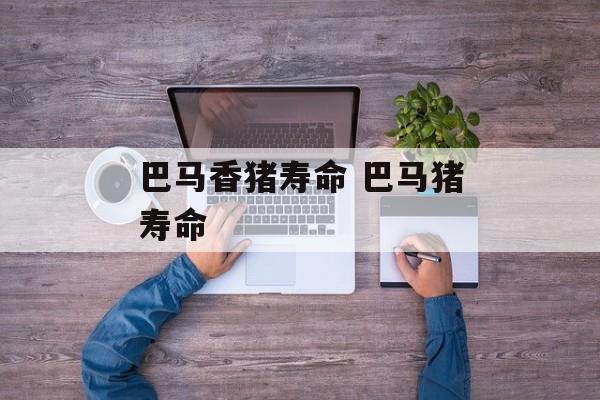 巴马香猪寿命 巴马猪寿命-第1张图片-