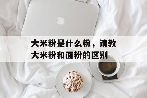 大米粉是什么粉，请教大米粉和面粉的区别-第1张图片-