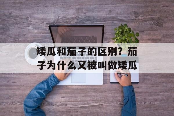 矮瓜和茄子的区别？茄子为什么又被叫做矮瓜-第1张图片-