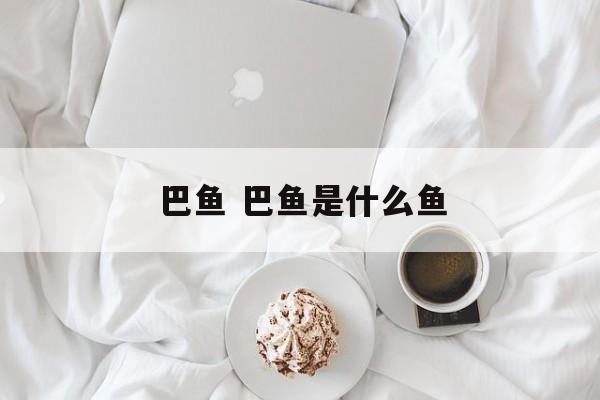 巴鱼 巴鱼是什么鱼-第1张图片-