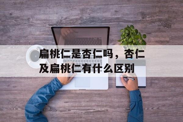 扁桃仁是杏仁吗，杏仁及扁桃仁有什么区别-第1张图片-