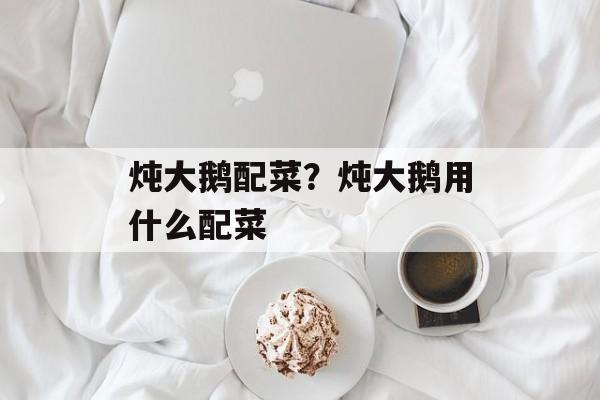 炖大鹅配菜？炖大鹅用什么配菜-第1张图片-