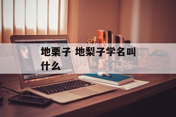 地栗子 地梨子学名叫什么-第1张图片-