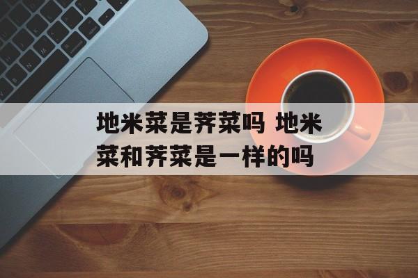 地米菜是荠菜吗 地米菜和荠菜是一样的吗-第1张图片-