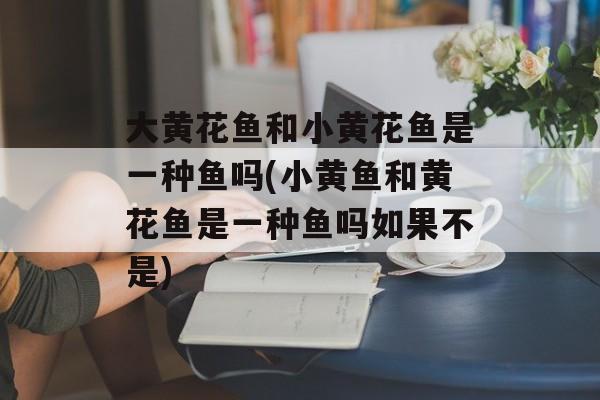 大黄花鱼和小黄花鱼是一种鱼吗(小黄鱼和黄花鱼是一种鱼吗如果不是)-第1张图片-