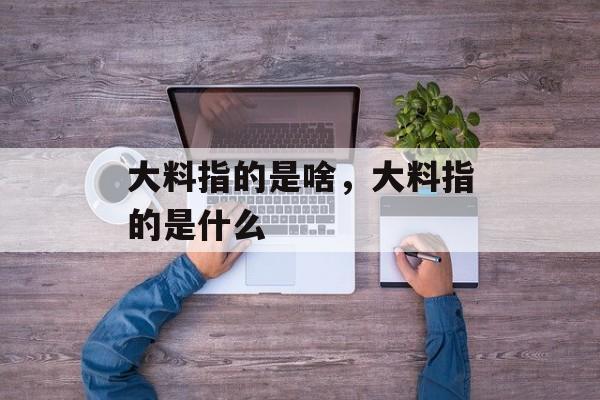 大料指的是啥，大料指的是什么-第1张图片-