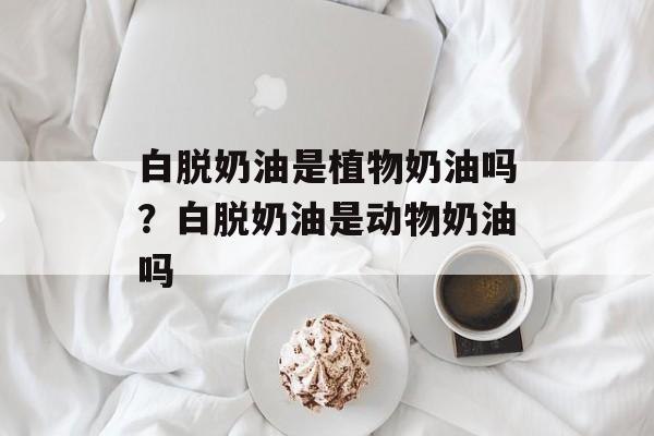 白脱奶油是植物奶油吗？白脱奶油是动物奶油吗-第1张图片-