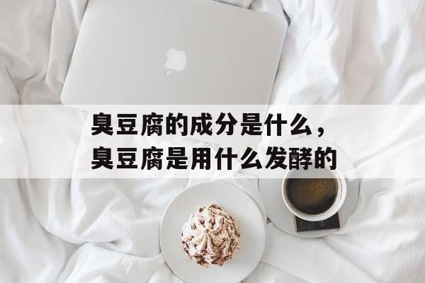 臭豆腐的成分是什么，臭豆腐是用什么发酵的-第1张图片-
