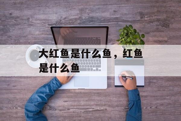 大红鱼是什么鱼，红鱼是什么鱼-第1张图片-