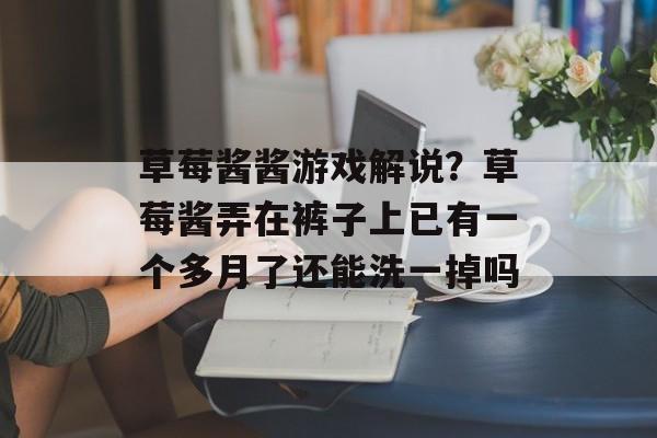 草莓酱酱游戏解说？草莓酱弄在裤子上已有一个多月了还能洗一掉吗-第1张图片-