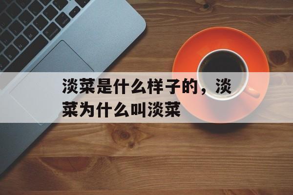 淡菜是什么样子的，淡菜为什么叫淡菜-第1张图片-