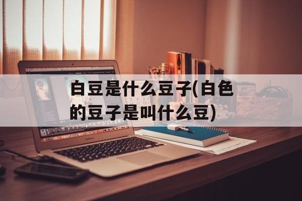 白豆是什么豆子(白色的豆子是叫什么豆)-第1张图片-