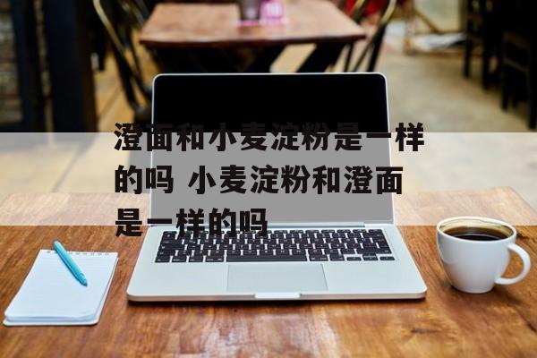 澄面和小麦淀粉是一样的吗 小麦淀粉和澄面是一样的吗-第1张图片-
