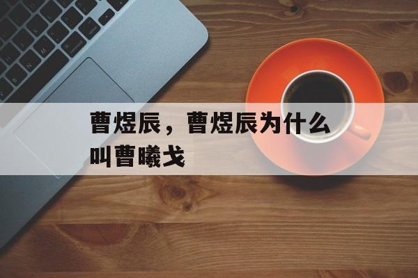 曹煜辰，曹煜辰为什么叫曹曦戈-第1张图片-