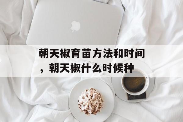 朝天椒育苗方法和时间，朝天椒什么时候种-第1张图片-