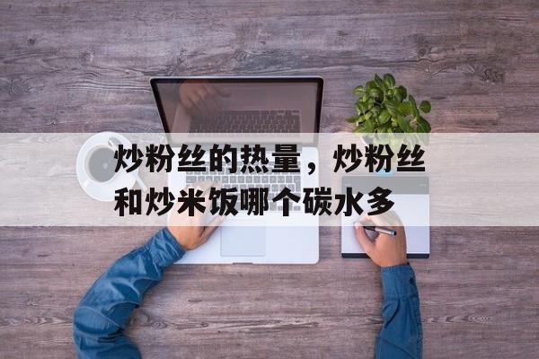 炒粉丝的热量，炒粉丝和炒米饭哪个碳水多-第1张图片-