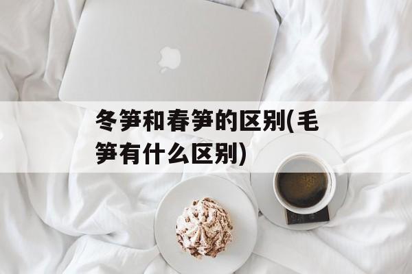 冬笋和春笋的区别(毛笋有什么区别)-第1张图片-