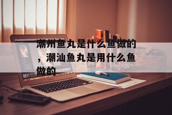 潮州鱼丸是什么鱼做的，潮汕鱼丸是用什么鱼做的-第1张图片-