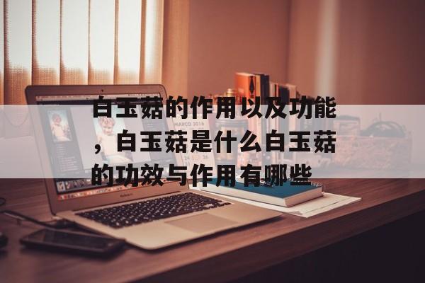 白玉菇的作用以及功能，白玉菇是什么白玉菇的功效与作用有哪些-第1张图片-