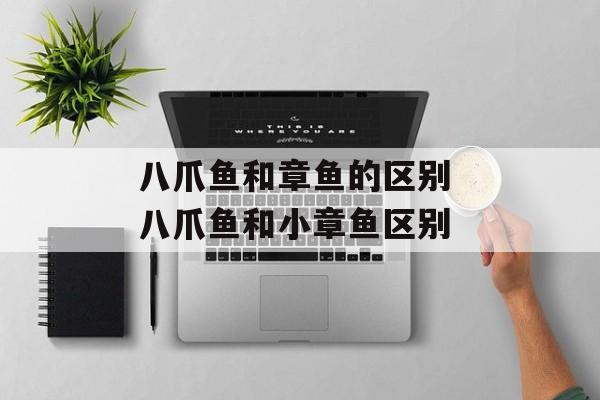 八爪鱼和章鱼的区别 八爪鱼和小章鱼区别-第1张图片-