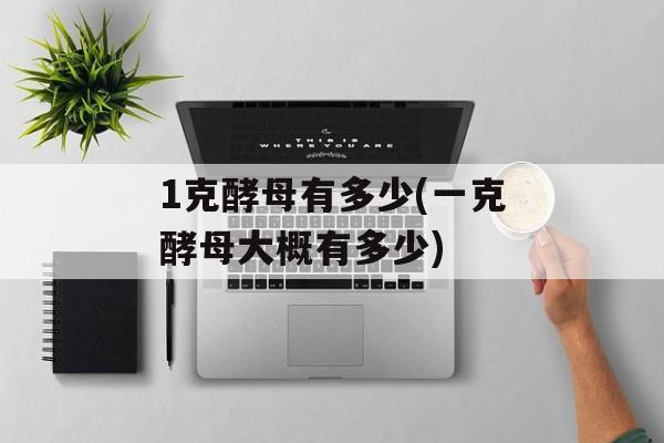 1克酵母有多少(一克酵母大概有多少)-第1张图片-