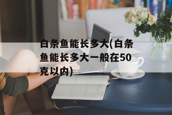 白条鱼能长多大(白条鱼能长多大一般在50克以内)-第1张图片-