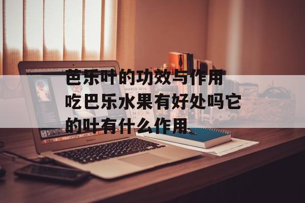 芭乐叶的功效与作用 吃巴乐水果有好处吗它的叶有什么作用-第1张图片-