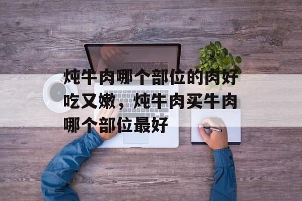 炖牛肉哪个部位的肉好吃又嫩，炖牛肉买牛肉哪个部位最好-第1张图片-