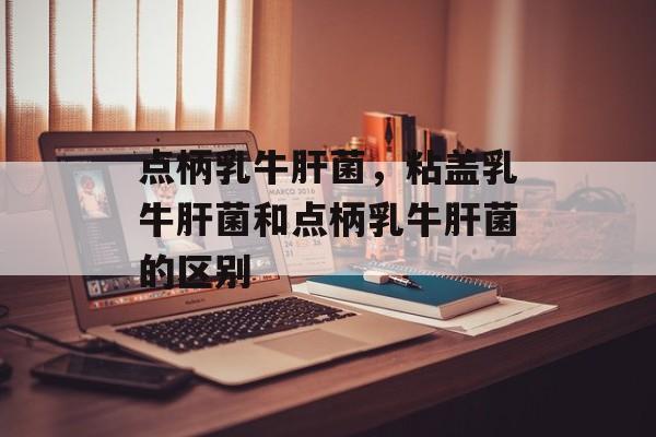 点柄乳牛肝菌，粘盖乳牛肝菌和点柄乳牛肝菌的区别-第1张图片-
