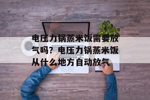 电压力锅蒸米饭需要放气吗？电压力锅蒸米饭从什么地方自动放气-第1张图片-