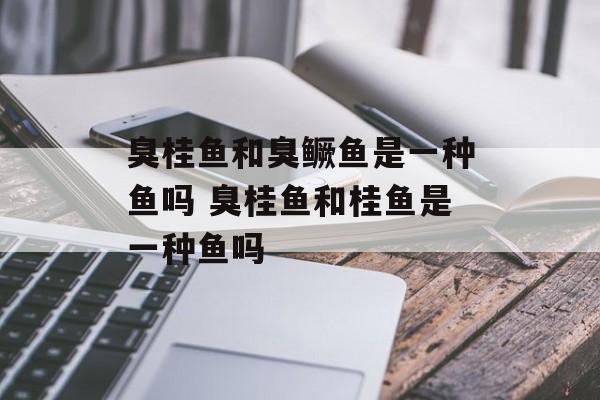 臭桂鱼和臭鳜鱼是一种鱼吗 臭桂鱼和桂鱼是一种鱼吗-第1张图片-