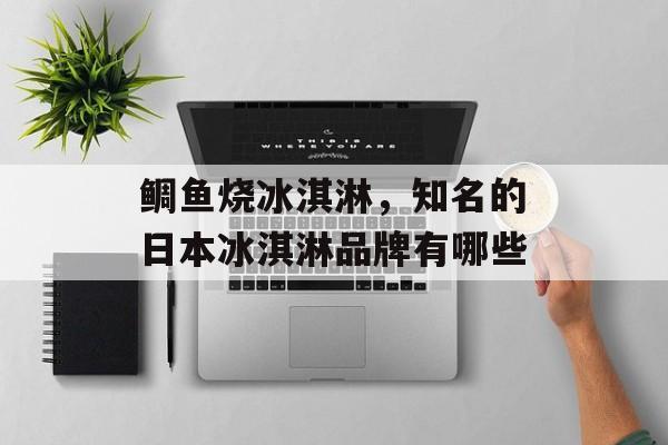鲷鱼烧冰淇淋，知名的日本冰淇淋品牌有哪些-第1张图片-