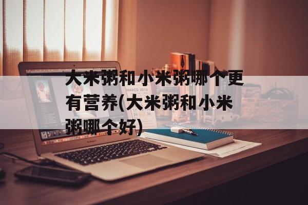 大米粥和小米粥哪个更有营养(大米粥和小米粥哪个好)-第1张图片-