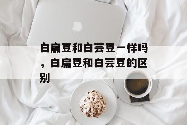 白扁豆和白芸豆一样吗，白扁豆和白芸豆的区别-第1张图片-