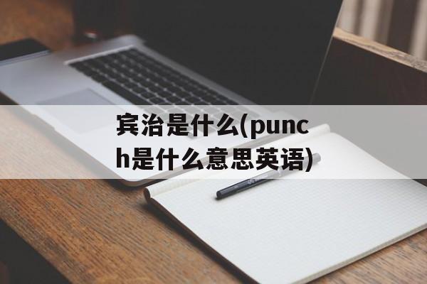 宾治是什么(punch是什么意思英语)-第1张图片-