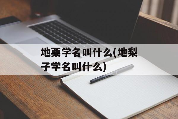 地栗学名叫什么(地梨子学名叫什么)-第1张图片-