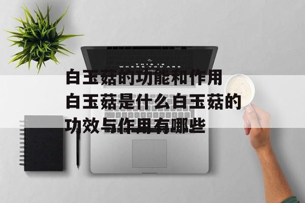 白玉菇的功能和作用 白玉菇是什么白玉菇的功效与作用有哪些-第1张图片-