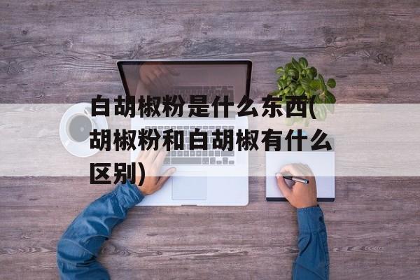白胡椒粉是什么东西(胡椒粉和白胡椒有什么区别)-第1张图片-