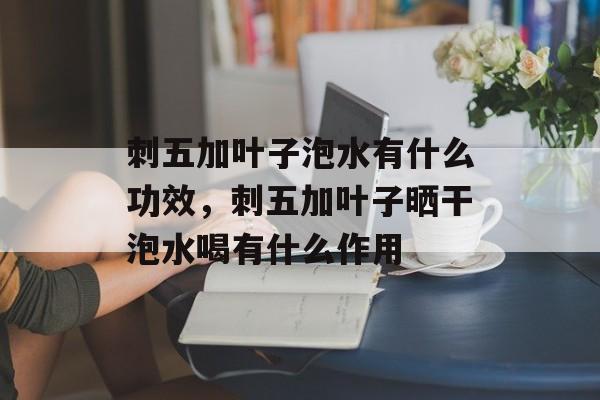 刺五加叶子泡水有什么功效，刺五加叶子晒干泡水喝有什么作用-第1张图片-