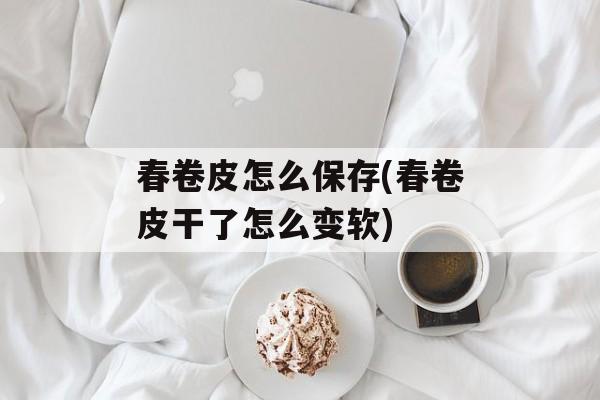 春卷皮怎么保存(春卷皮干了怎么变软)-第1张图片-