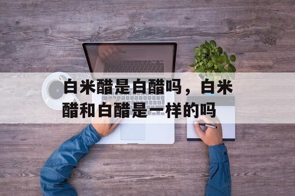 白米醋是白醋吗，白米醋和白醋是一样的吗-第1张图片-