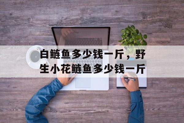 白鲢鱼多少钱一斤，野生小花鲢鱼多少钱一斤-第1张图片-