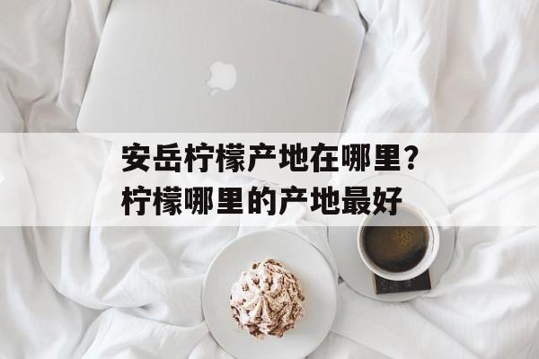 安岳柠檬产地在哪里？柠檬哪里的产地最好-第1张图片-