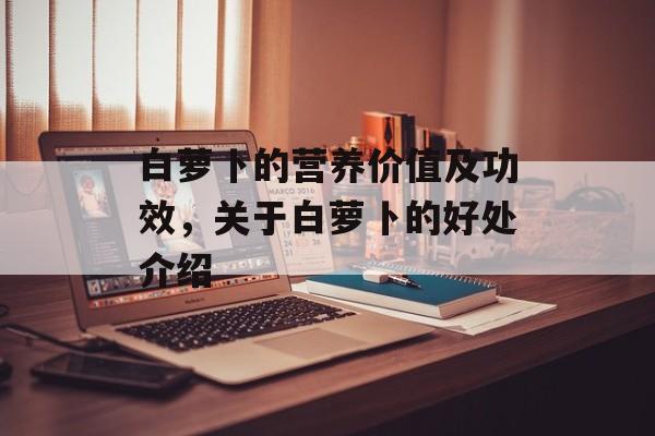 白萝卜的营养价值及功效，关于白萝卜的好处介绍-第1张图片-