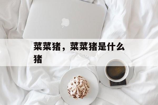 菜菜猪，菜菜猪是什么猪-第1张图片-